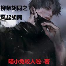 《柳条胡同之风起胡同》小说剧情介绍_小说主角是苏兴武长胜的小说剧情