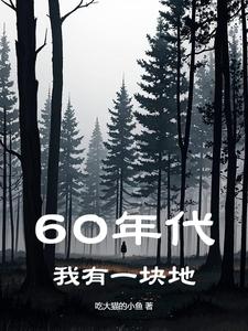 【精选】严三（60年代：我有一块地）章节剧情介绍全文阅读地址