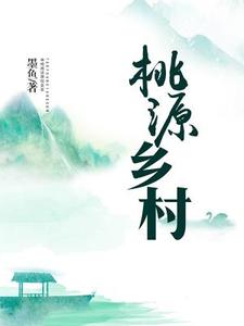 王小龙赤忻《桃源乡村》小说剧情介绍_小说主角是王小龙赤忻的小说剧情