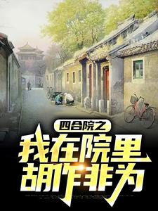 程治国《四合院之我在院里胡作非为》小说剧情介绍_小说主角是程治国的小说剧情