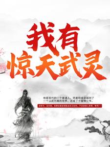 元枫慕云儿初天宇《我有惊天武灵》小说剧情介绍_小说主角是元枫慕云儿初天宇的小说剧情