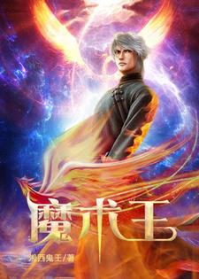 龙總叶浮生《魔术王》小说剧情介绍_小说主角是龙總叶浮生的小说剧情