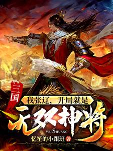 《三国我张辽开局就是无双神将》小说剧情介绍_小说主角是张辽吕布的小说剧情