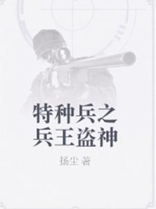 叶洛阳龙小云(特种兵之兵王盗神)小说完结版