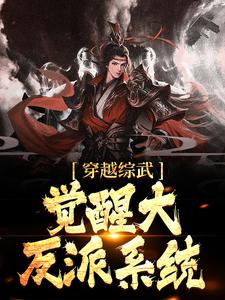 《穿越综武觉醒大反派系统》小说在线章节阅读目录